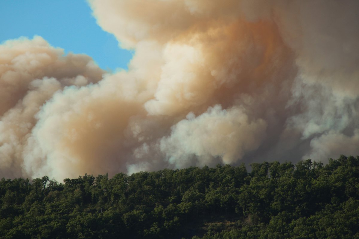 A large plume of smoke rising over a forested ridge