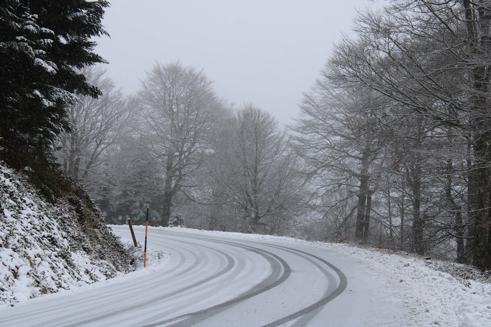 a snow covered road in the middle of a forest