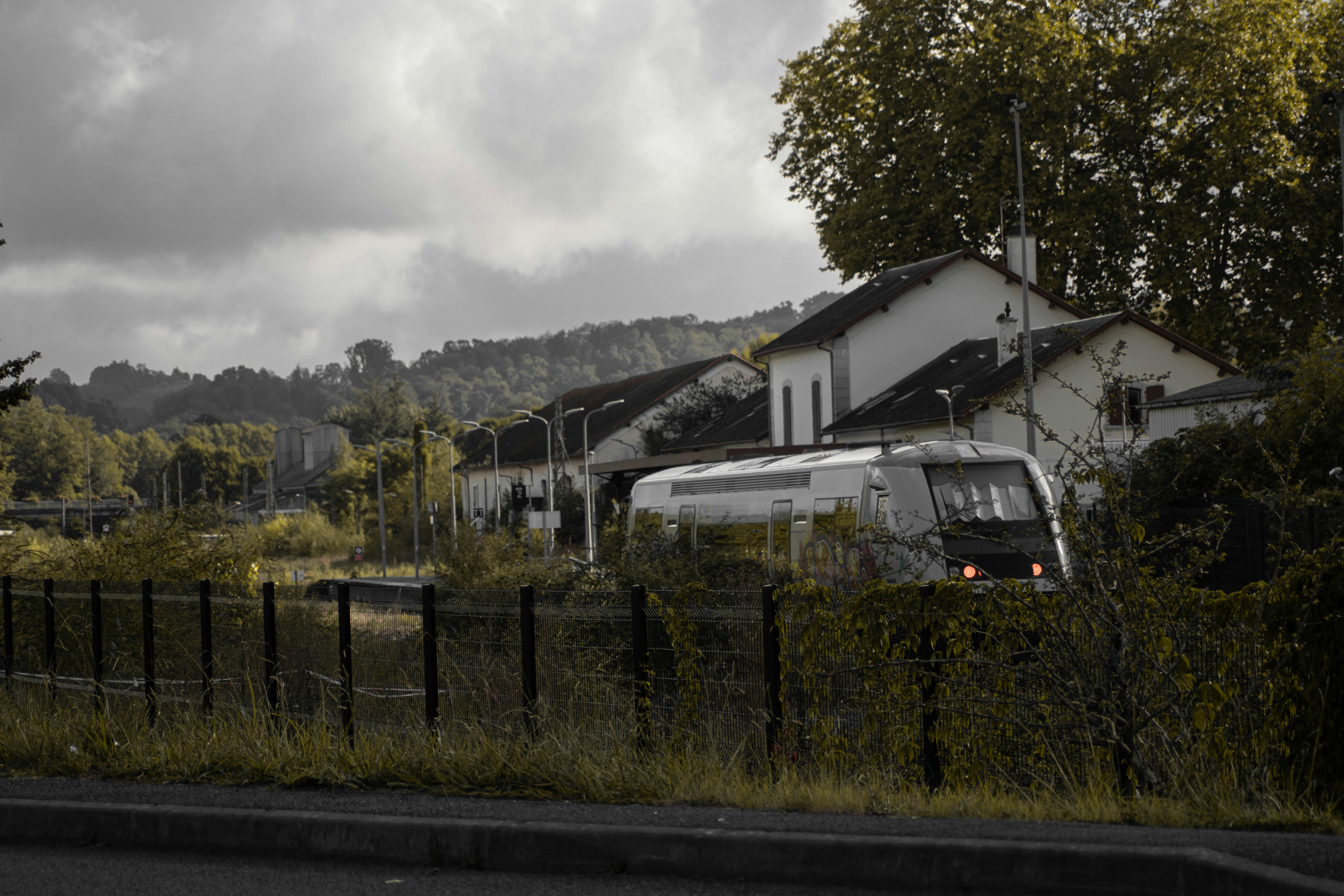 a white train traveling past a lush green forest