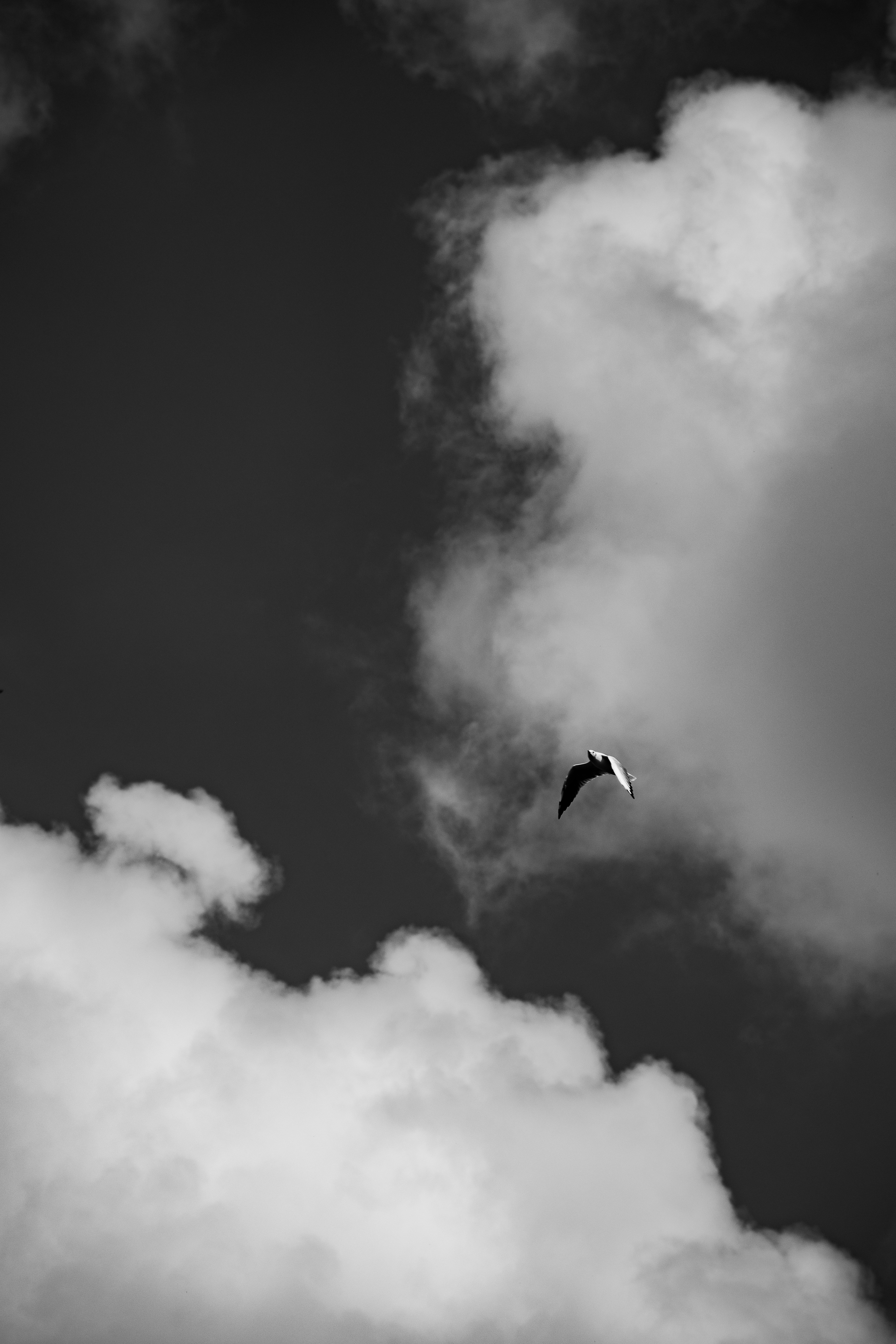 Photo by edoardo_cuoghi_98