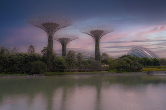 Completed high-end steel villa surrounded by lush greenery at sunset.