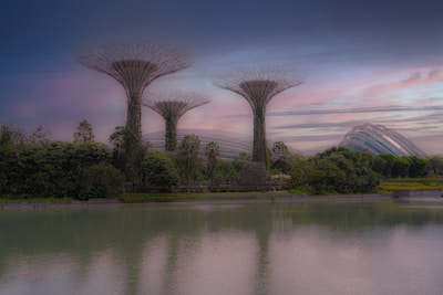 Completed high-end steel villa surrounded by lush greenery at sunset.