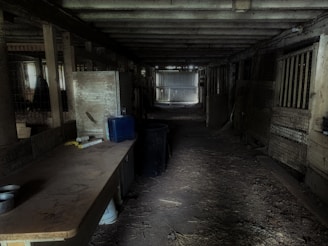 A dimly lit, rustic barn interior with wooden beams and walls. The space is cluttered with various items, including a table on the left holding tools and supplies. The floor appears dusty and covered in straw, with animal stalls lining the right side. Light filters through windows on the left, creating a contrast with the dark, shadowy corners.