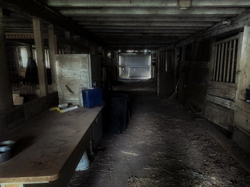 A dimly lit, rustic barn interior with wooden beams and walls. The space is cluttered with various items, including a table on the left holding tools and supplies. The floor appears dusty and covered in straw, with animal stalls lining the right side. Light filters through windows on the left, creating a contrast with the dark, shadowy corners.