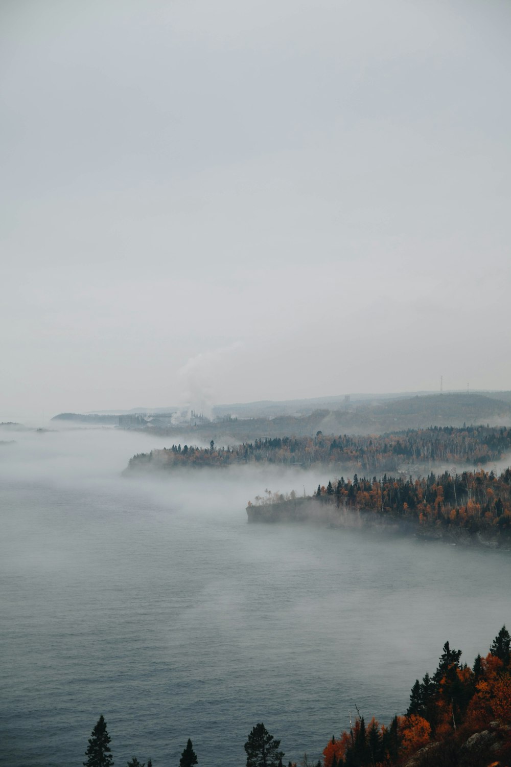 a foggy lake with trees in the foreground