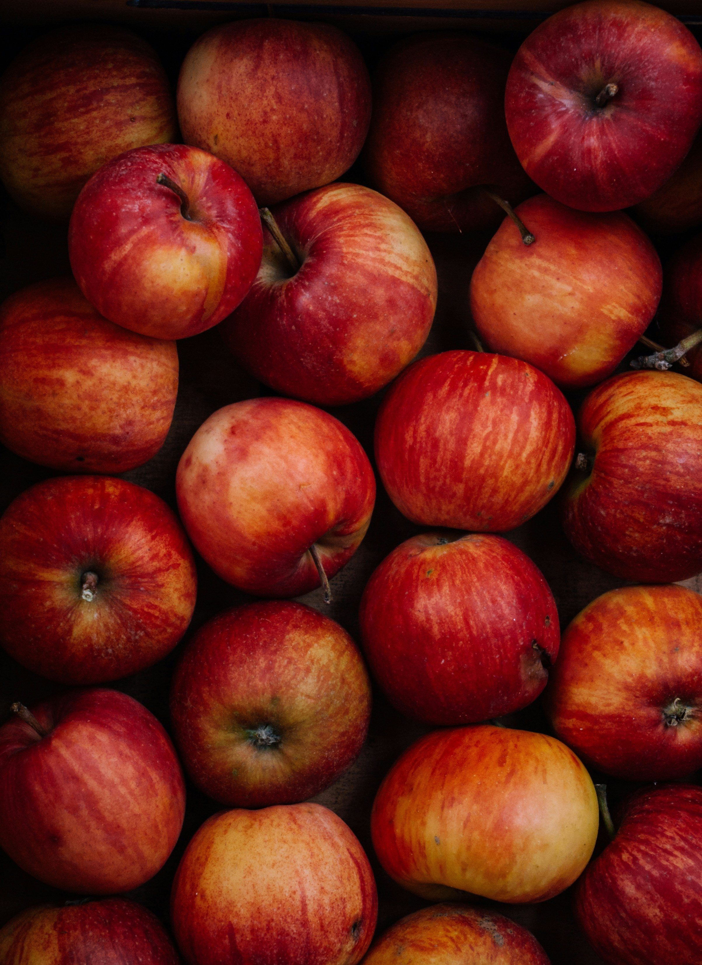 Photo by moonmoons_days