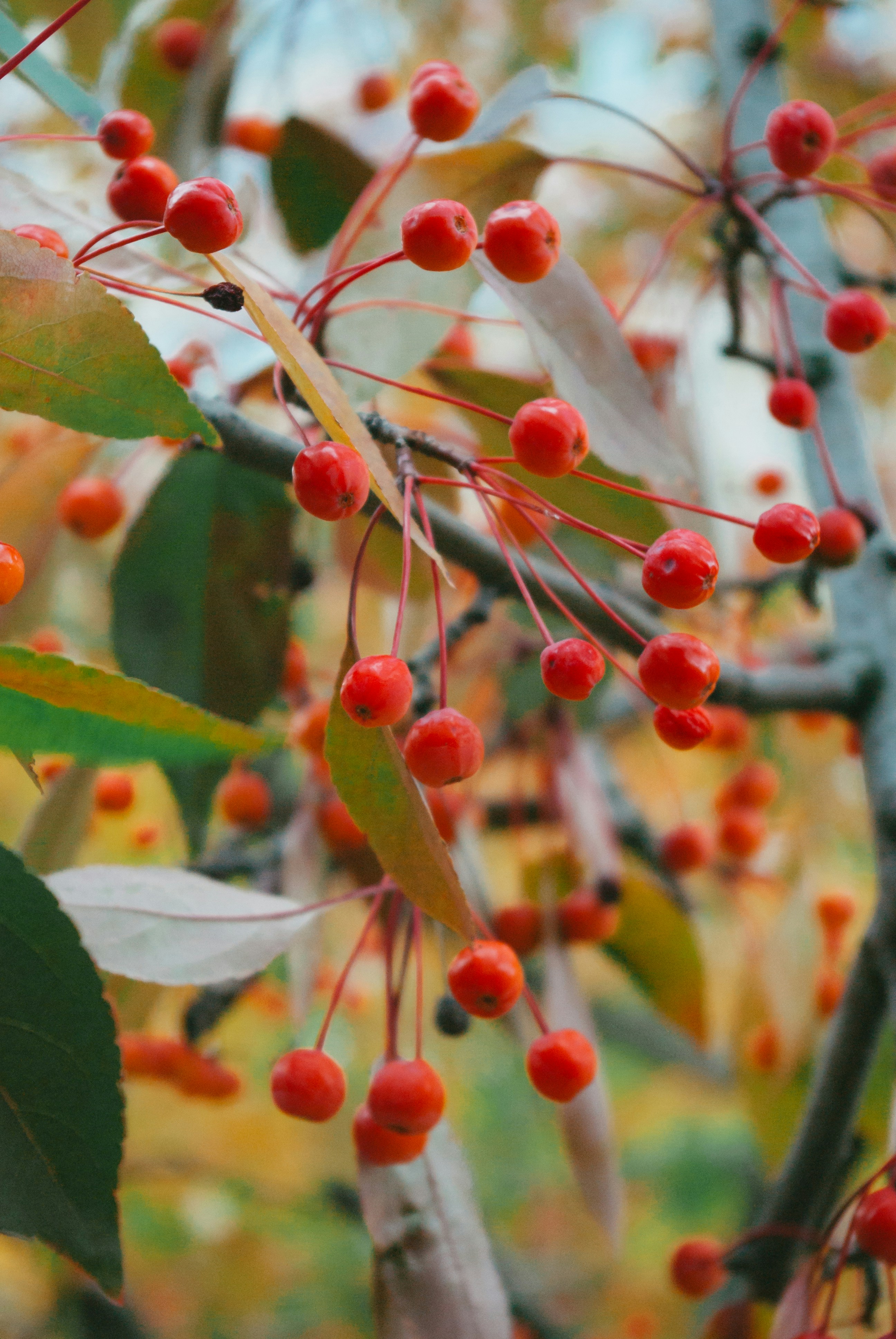 Photo by moonmoons_days