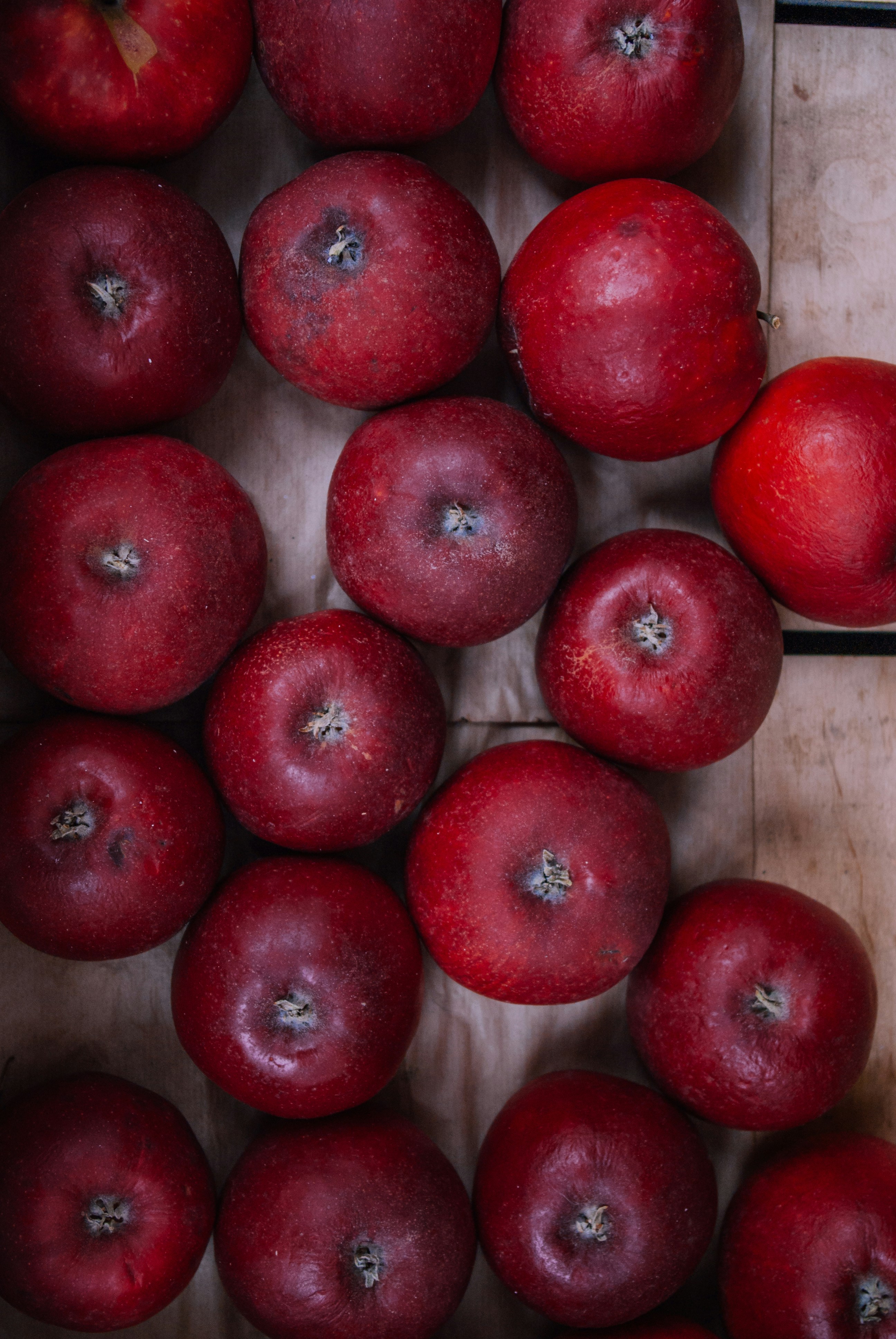 Photo by moonmoons_days