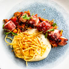 Close-up of a minimalist plate featuring grilled octopus with volcanic stone backdrop.