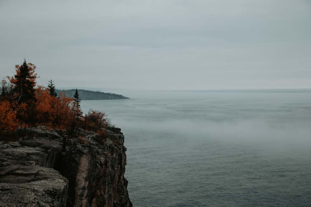 a foggy day at the edge of a cliff overlooking the ocean
