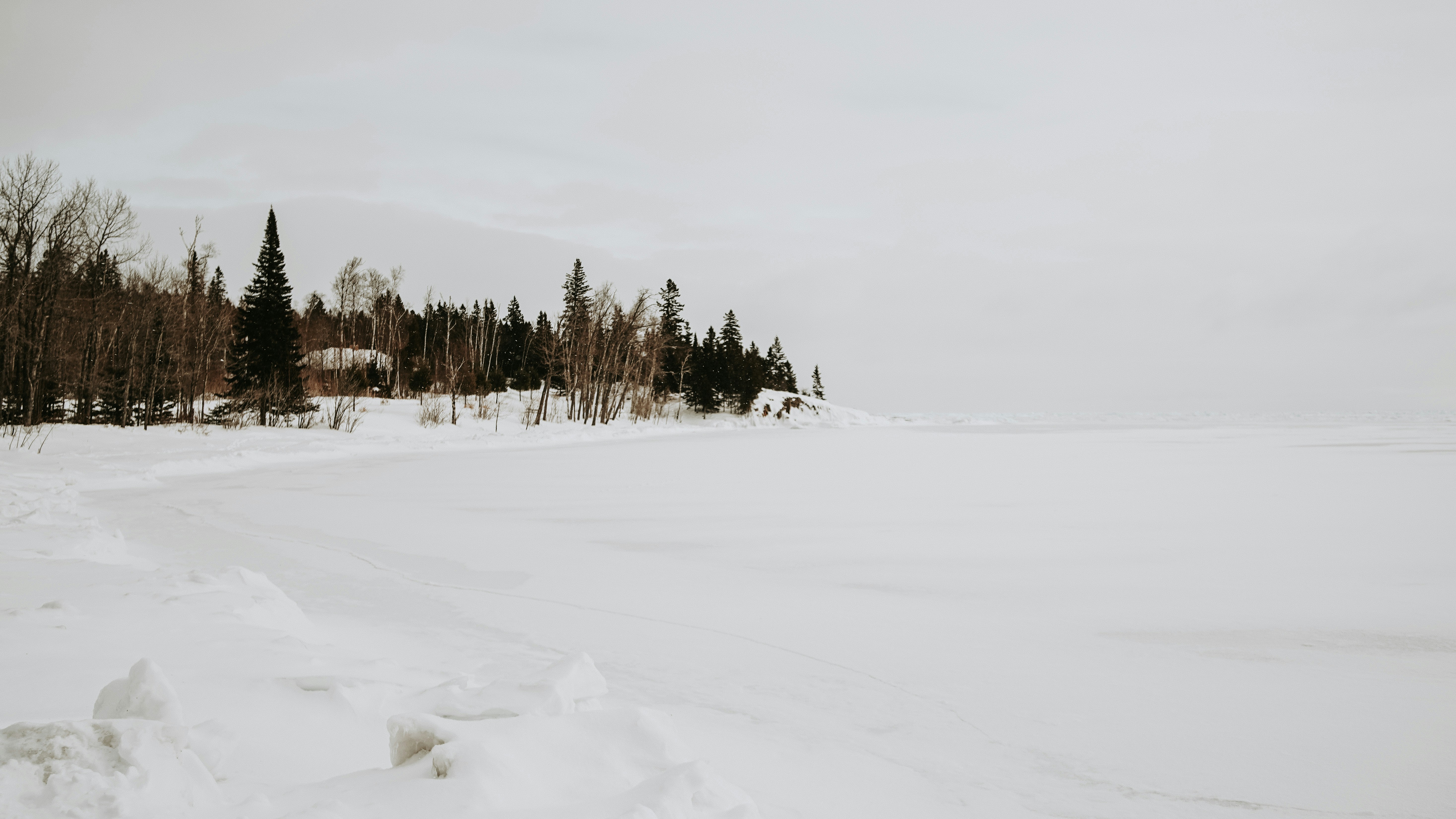 Photo by taylor_friehl