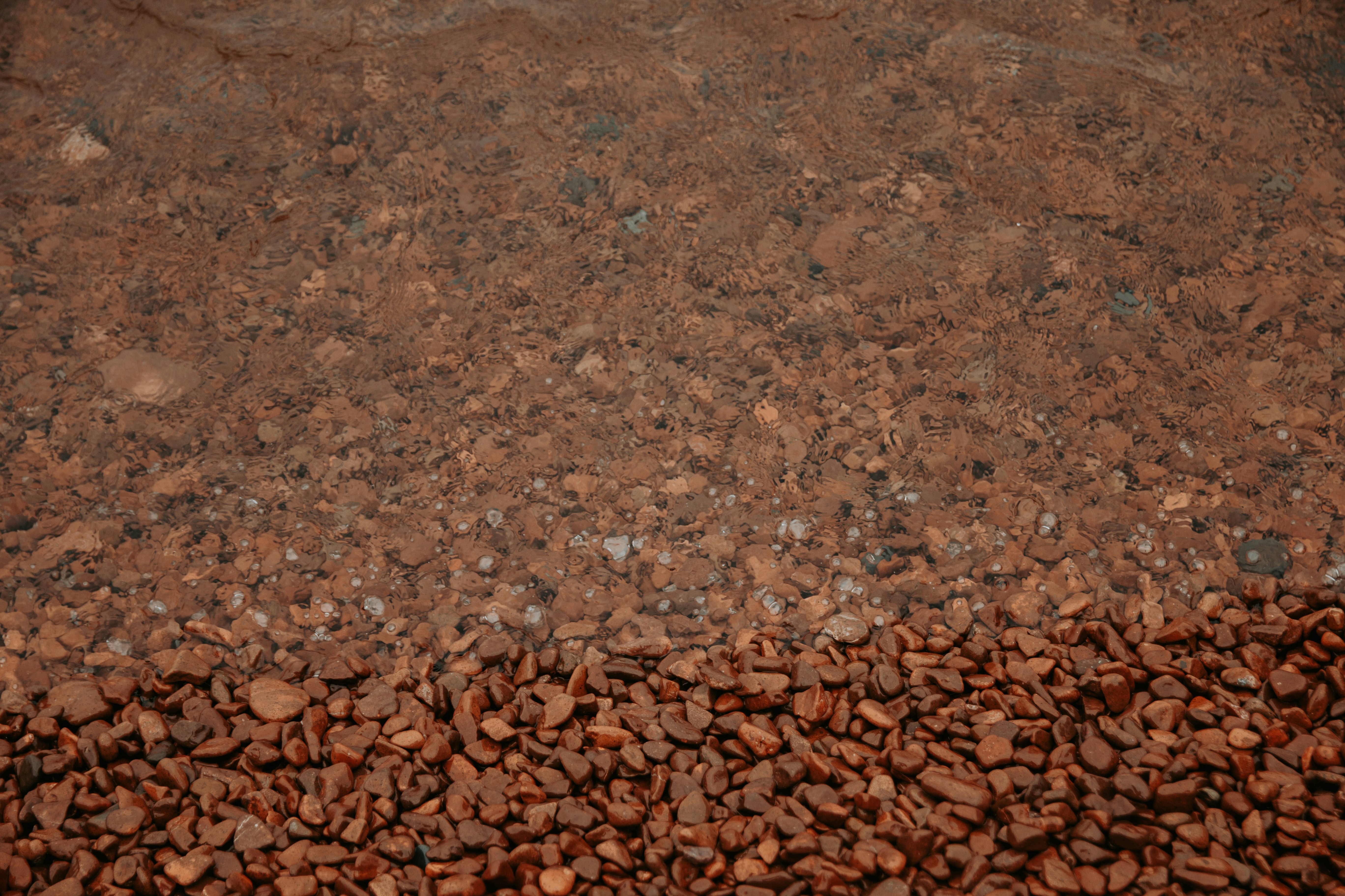 Photo by taylor_friehl