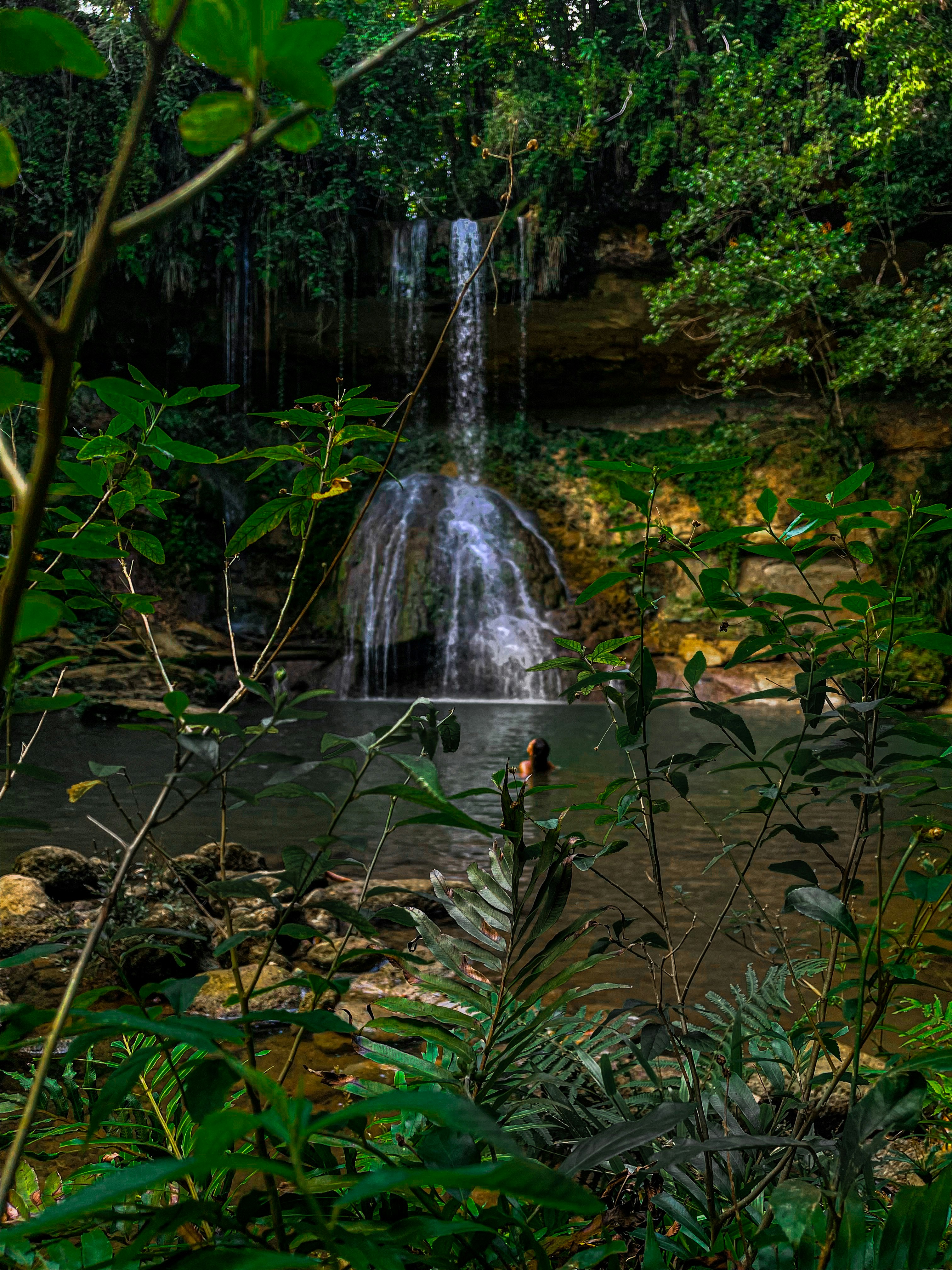 Photo by elojoboricua
