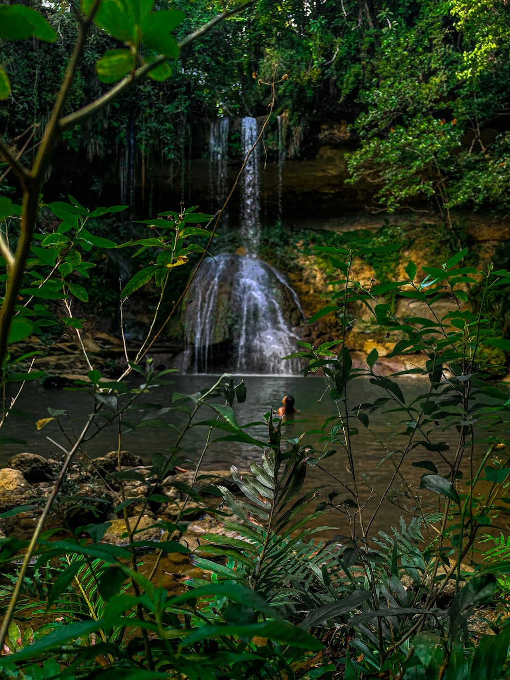 a small waterfall in the middle of a forest