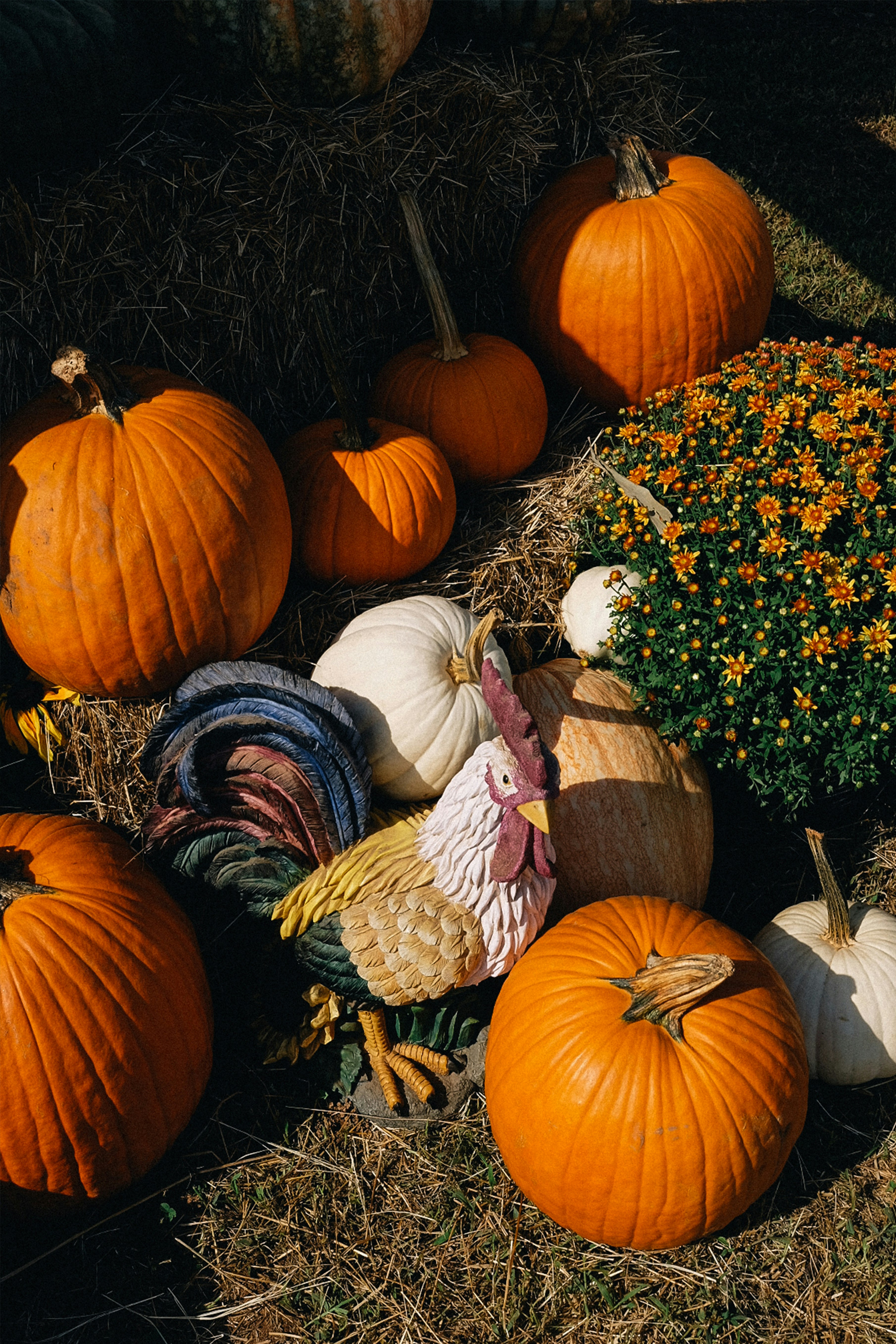 Un montón de calabazas sentadas encima de un montón de heno