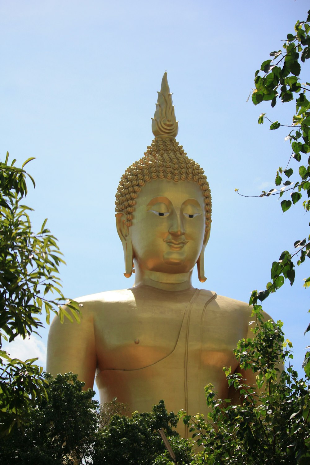 Una grande statua dorata di Buddha seduta nel mezzo di una foresta