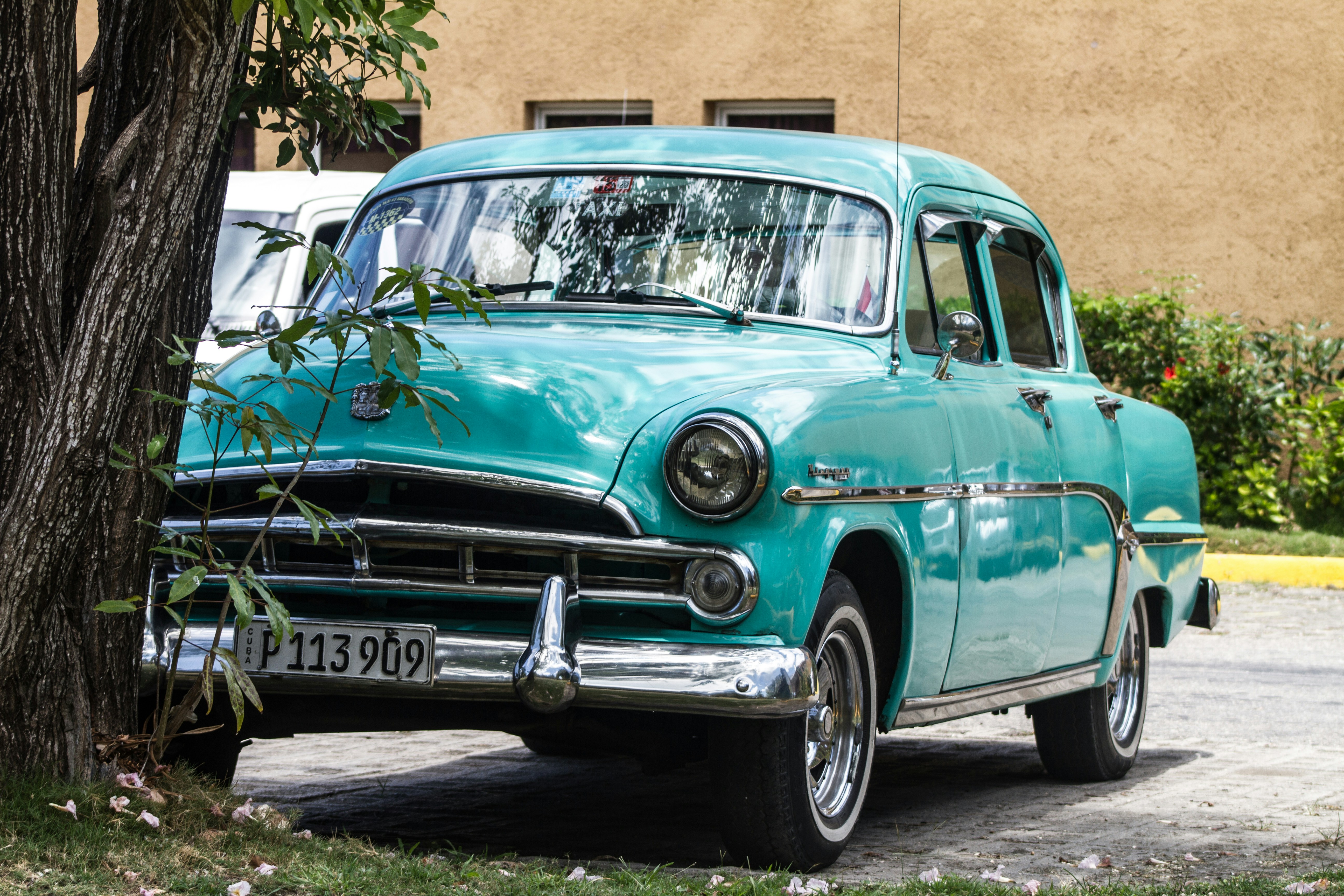 Photo by pedrodecimus