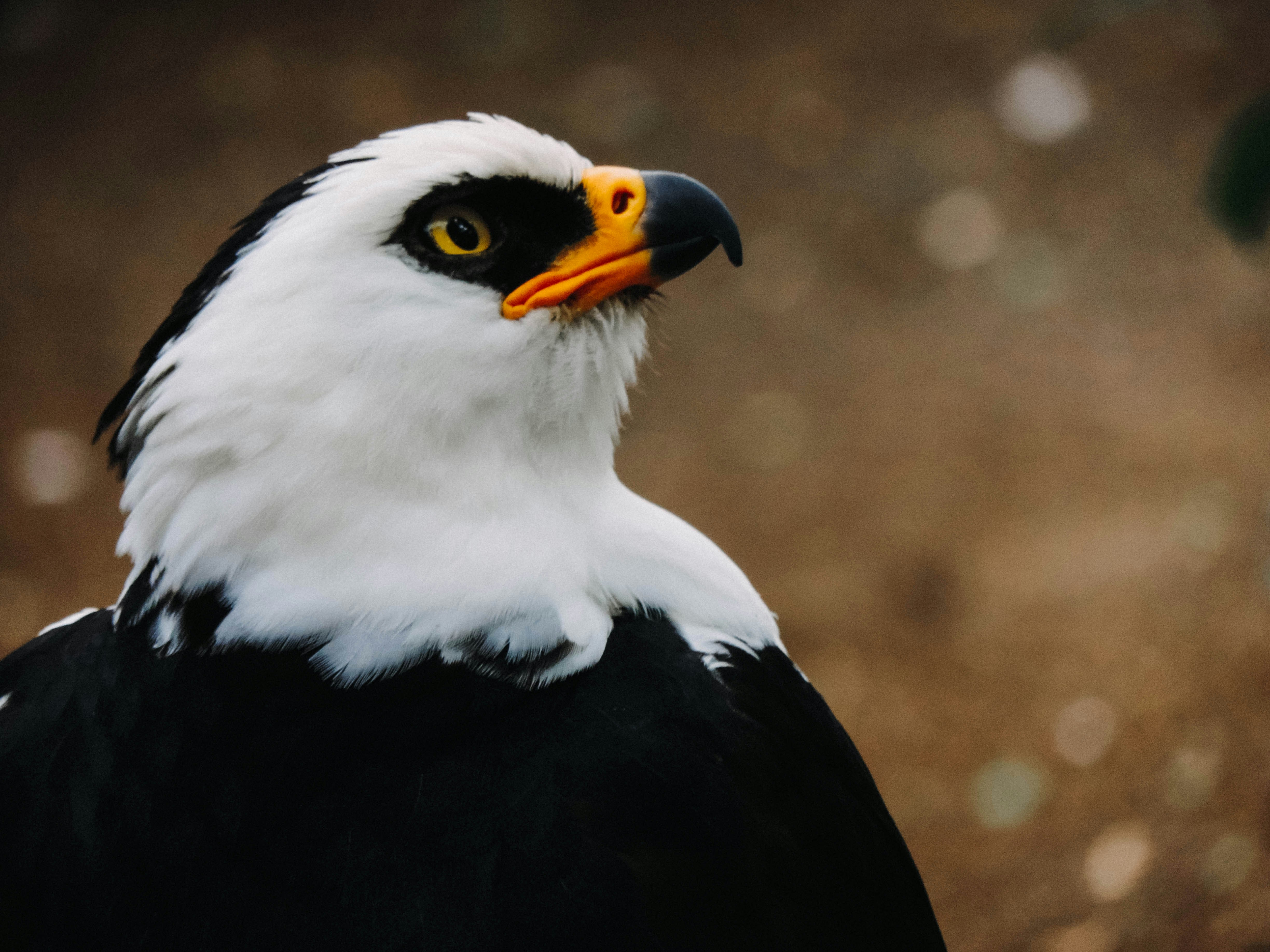 Photo by nanettemudry