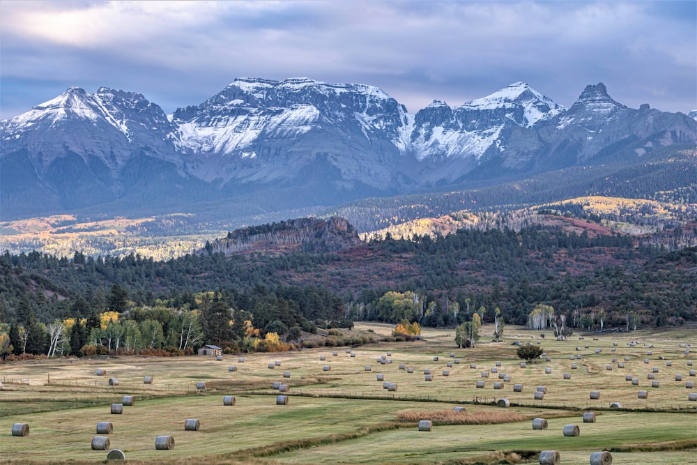 a field with hay bales in the foreground and mountains in the background