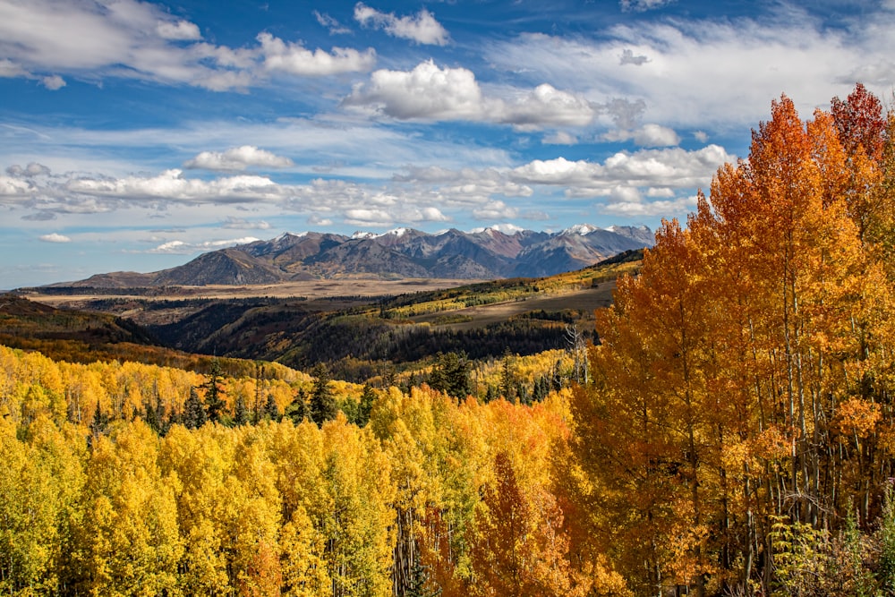 a scenic view of the mountains and trees in autumn