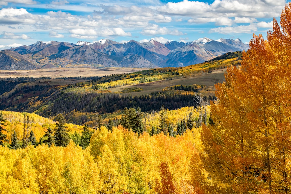 a scenic view of a mountain range in autumn