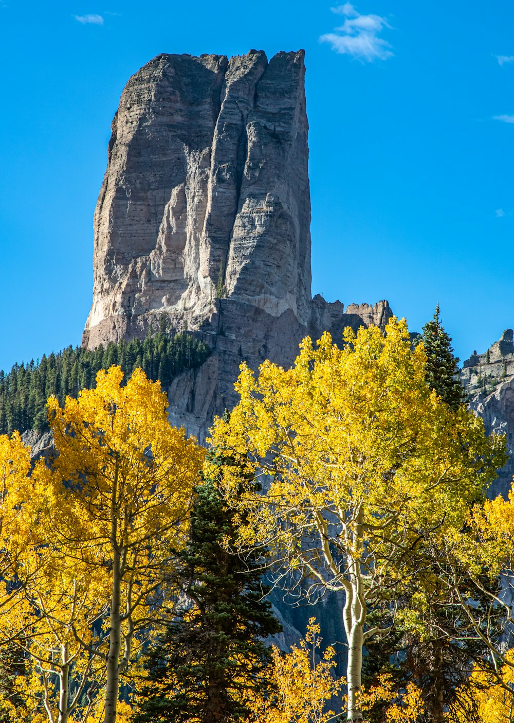 a tall mountain towering over a forest filled with trees