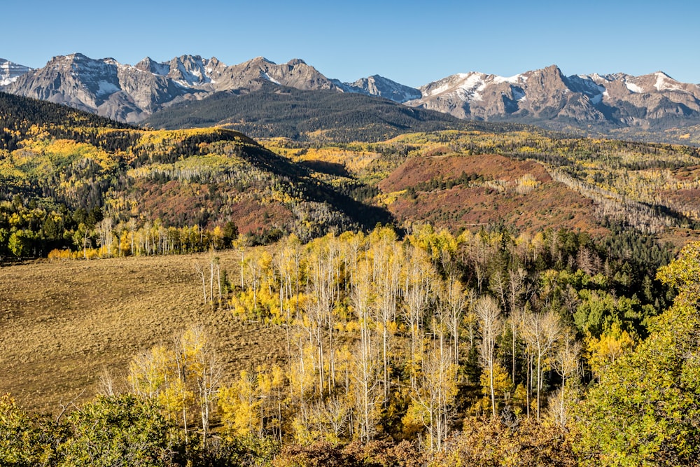 a scenic view of a mountain range in autumn