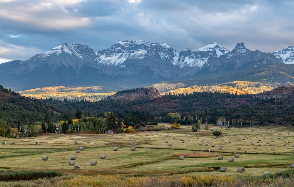 a field with bales in the foreground and mountains in the background