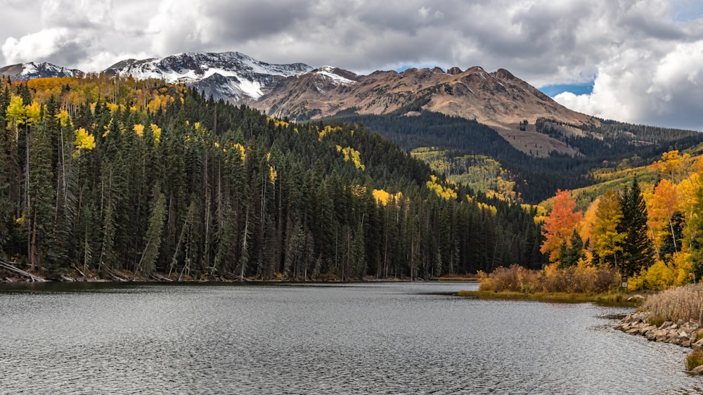 un lac entouré d’arbres avec des montagnes en arrière-plan