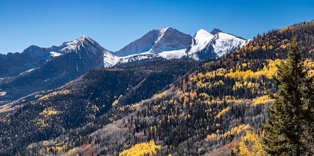a view of a mountain range in autumn