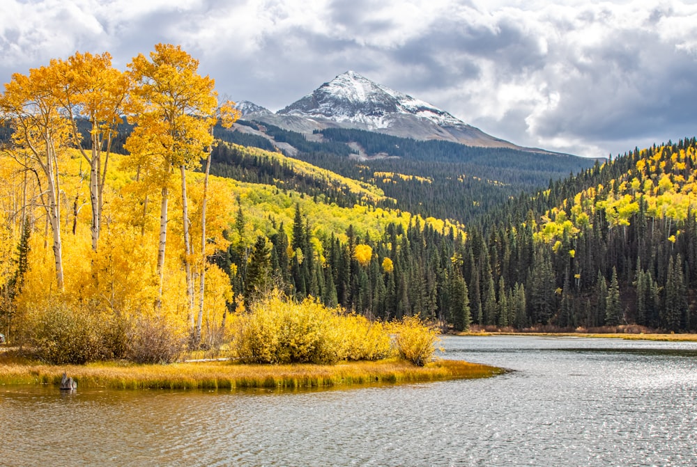 a lake surrounded by trees with a mountain in the background