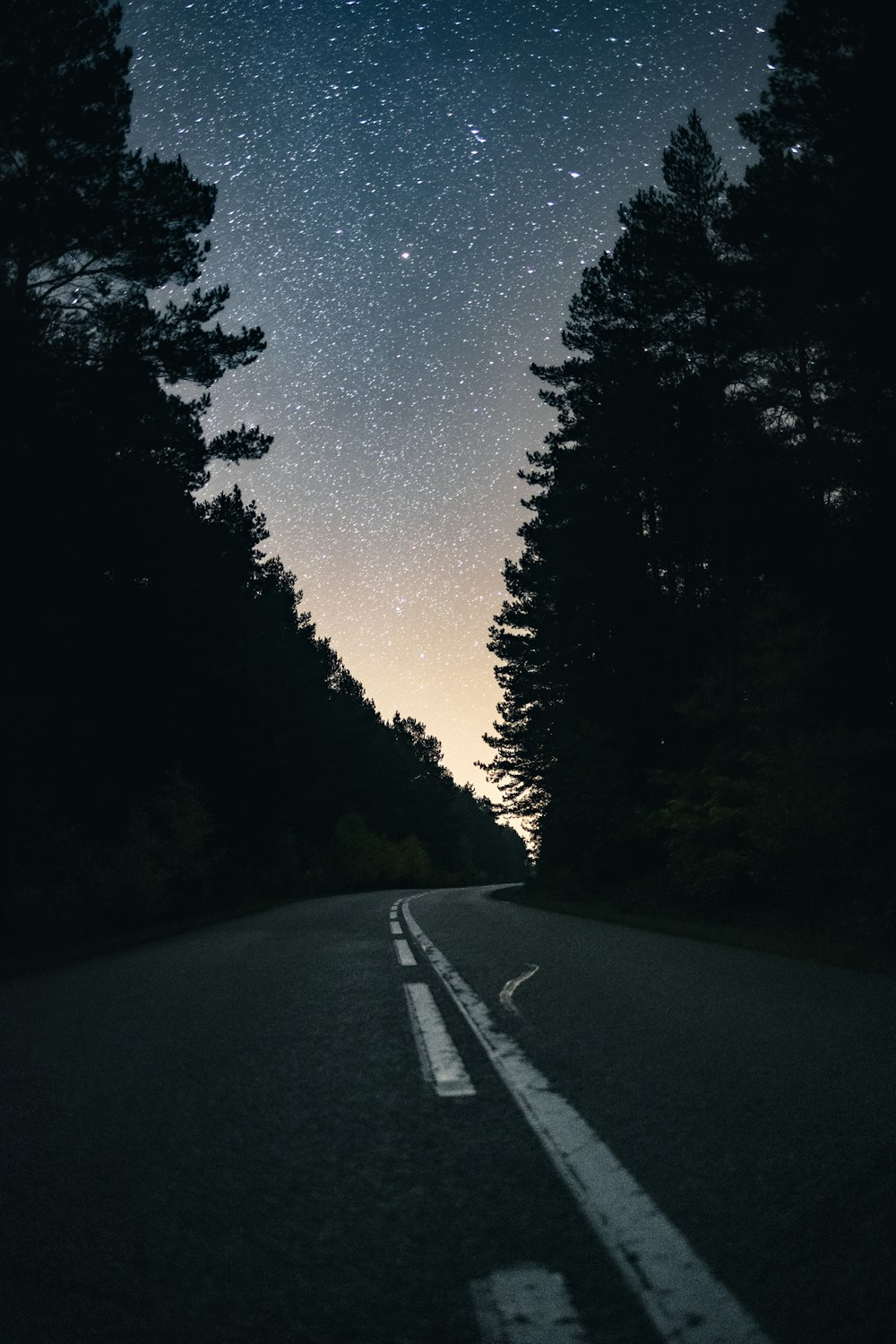 a road with trees and a sky full of stars