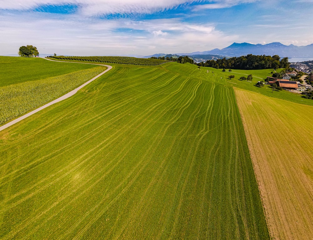 an aerial view of a green field with a road running through it