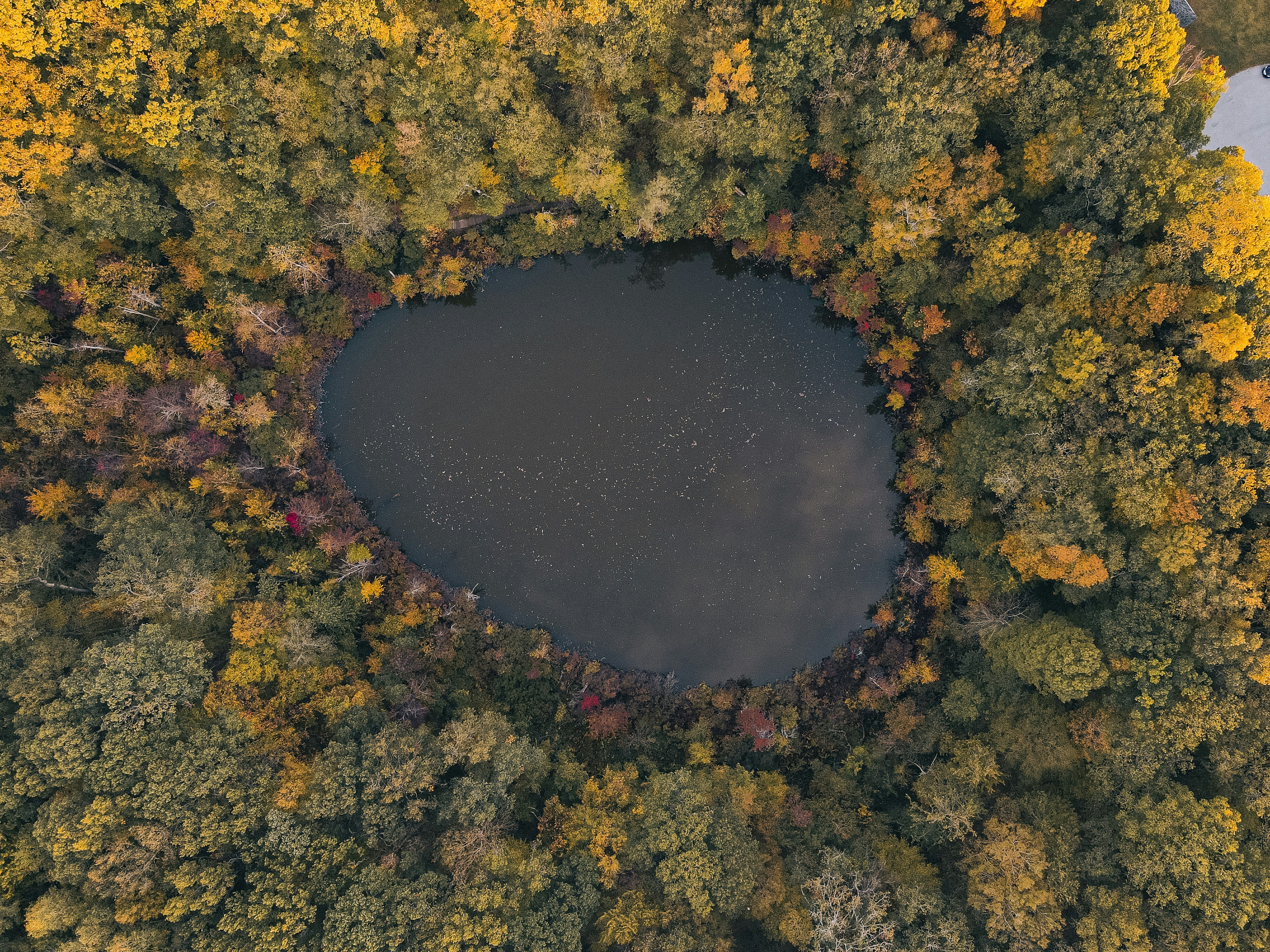 Photo by lokeshpaduchuri