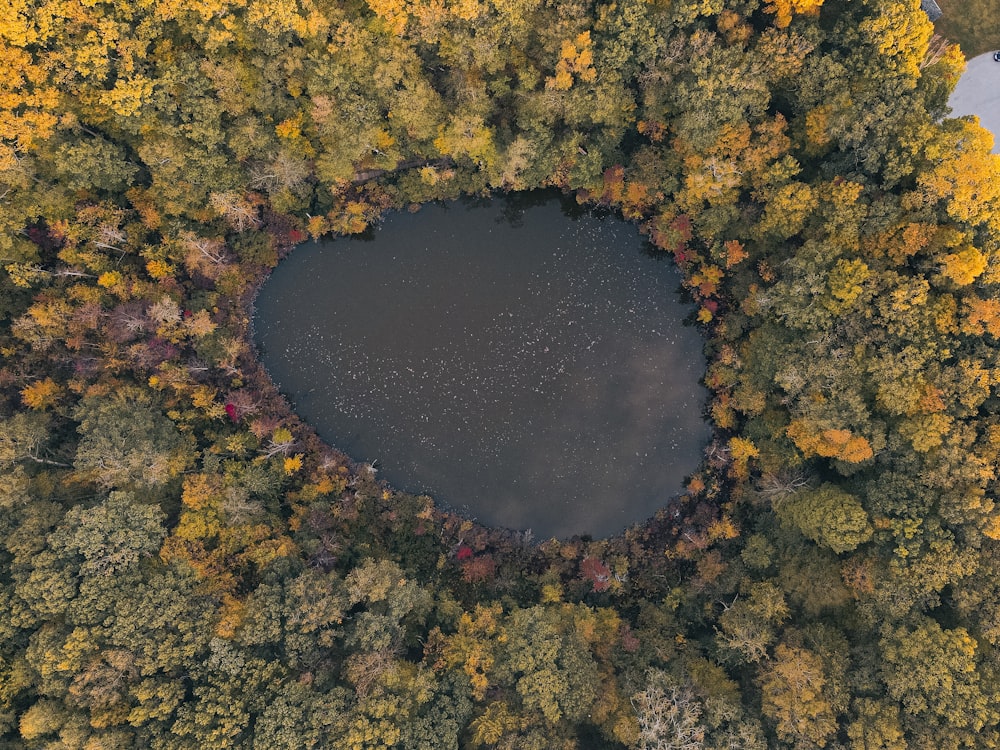 an aerial view of a lake surrounded by trees