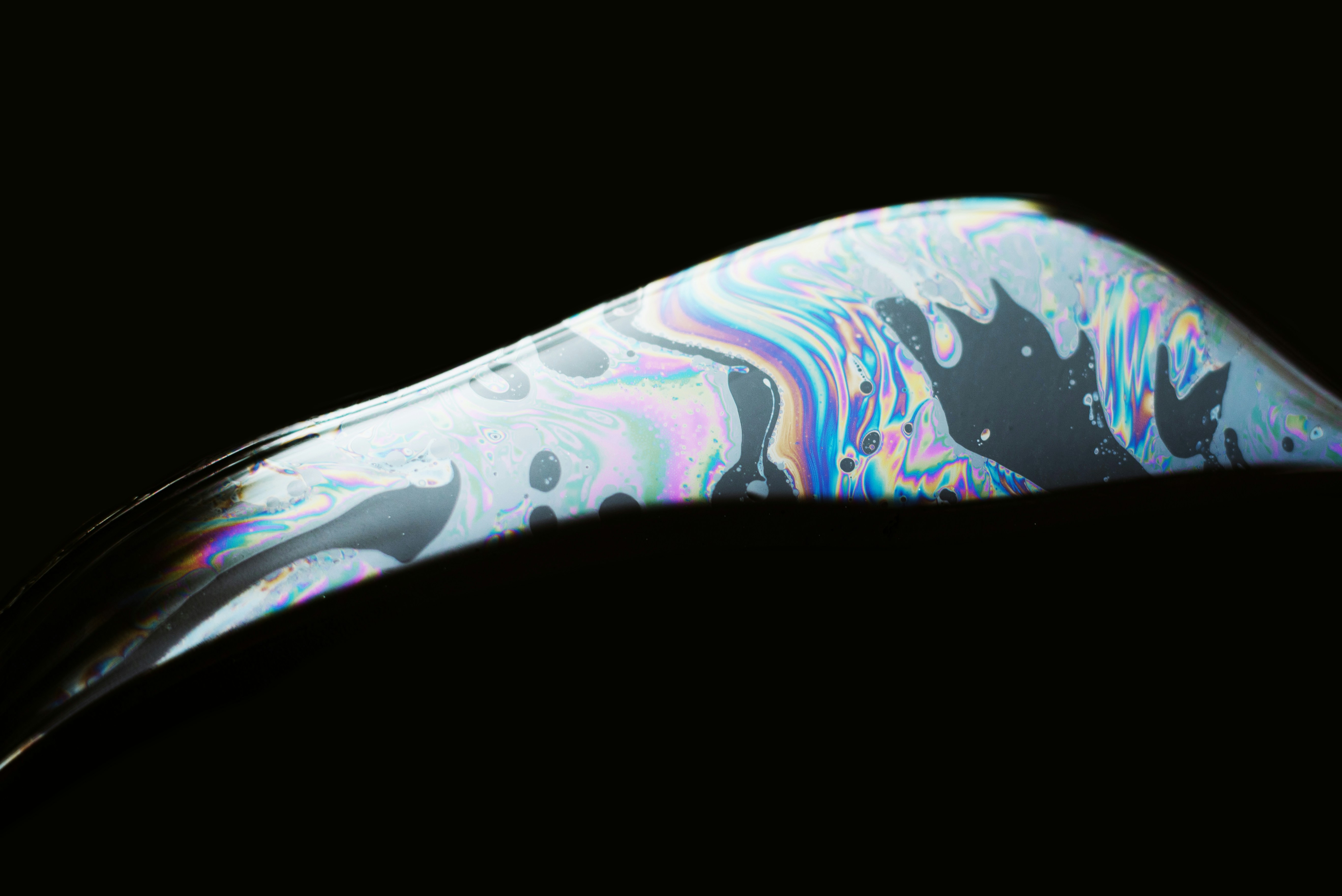 Photo by evieshaffer