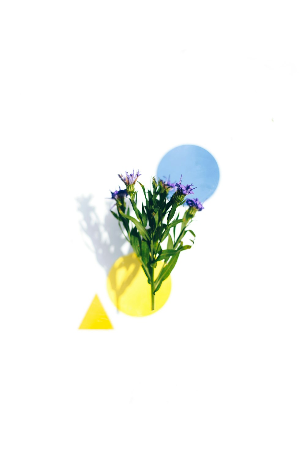 a yellow vase with some purple flowers in it