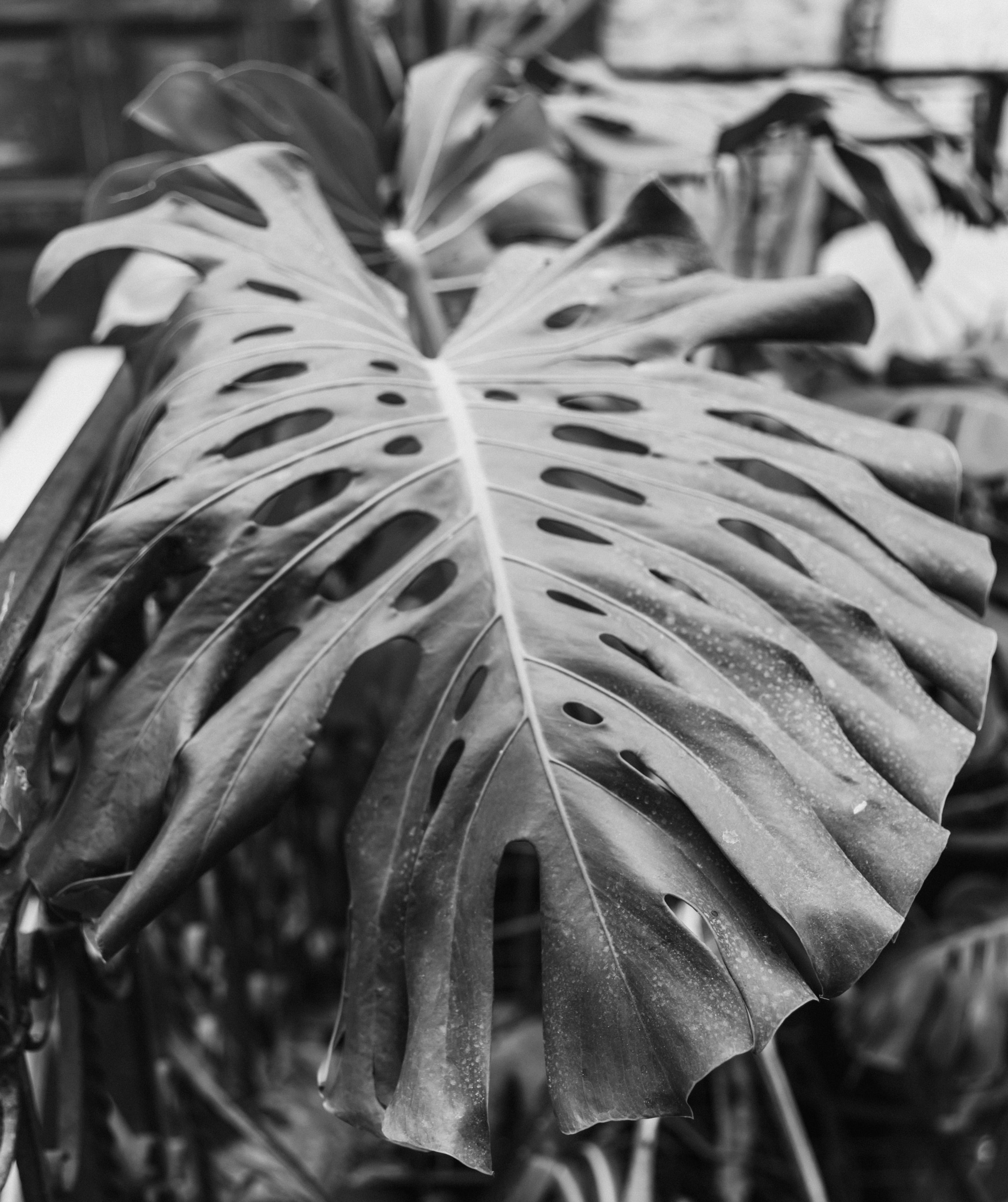 Photo by raspopovamarisha