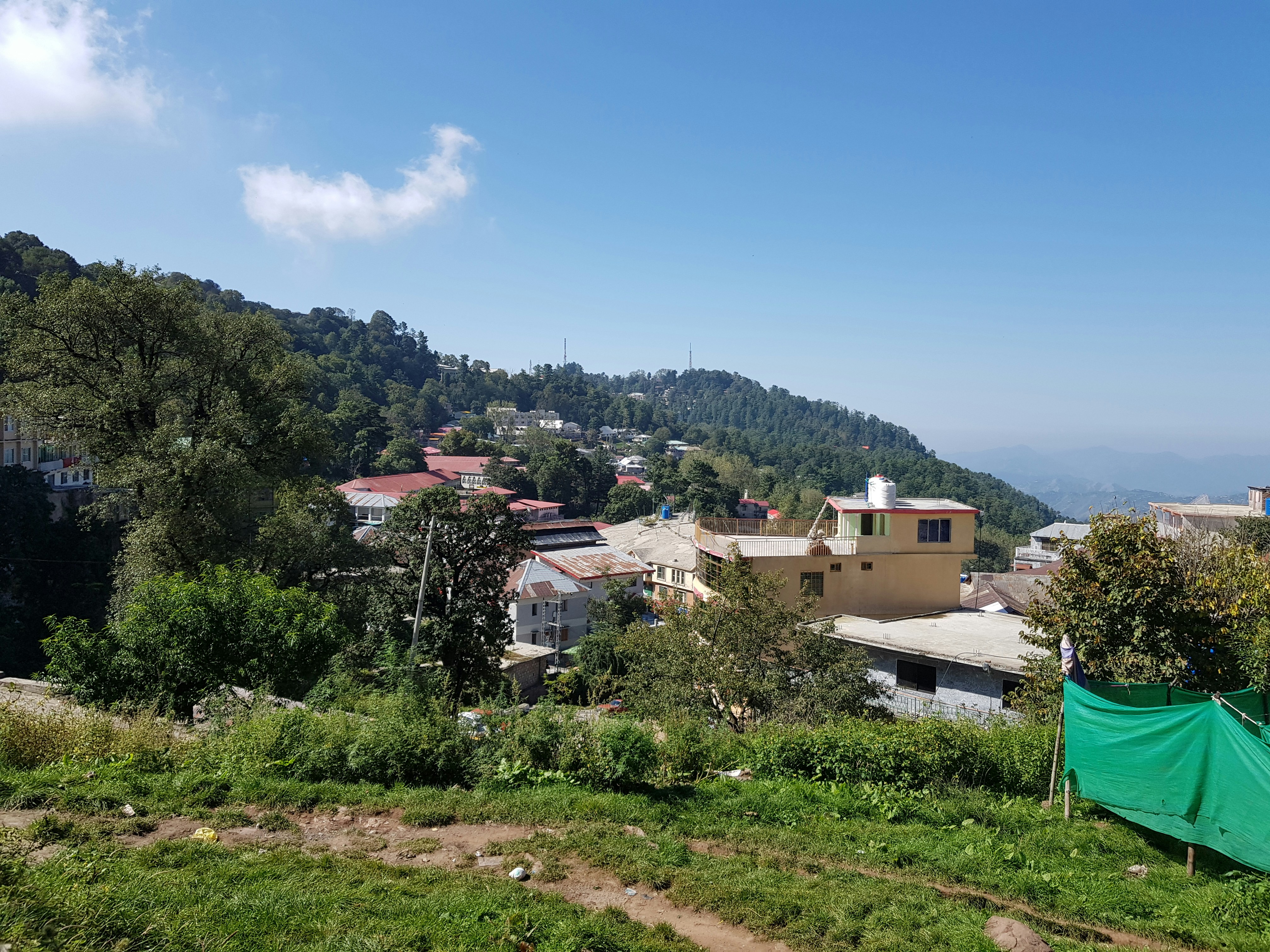 photo 1634245865237 b484d5eef64f?crop=entropy&cs=tinysrgb&fit=max&fm=jpg&ixid=M3w1MjQ0NjR8MHwxfHNlYXJjaHw4fHxQZXN0JTIwQ29udHJvbCUyMFNlcnZpY2UlMjBWYWxkb3N0YSUyMEdlb3JnaWF8ZW58MHwwfHx8MTc2MDMxNTcxMnww&ixlib=rb 4.1