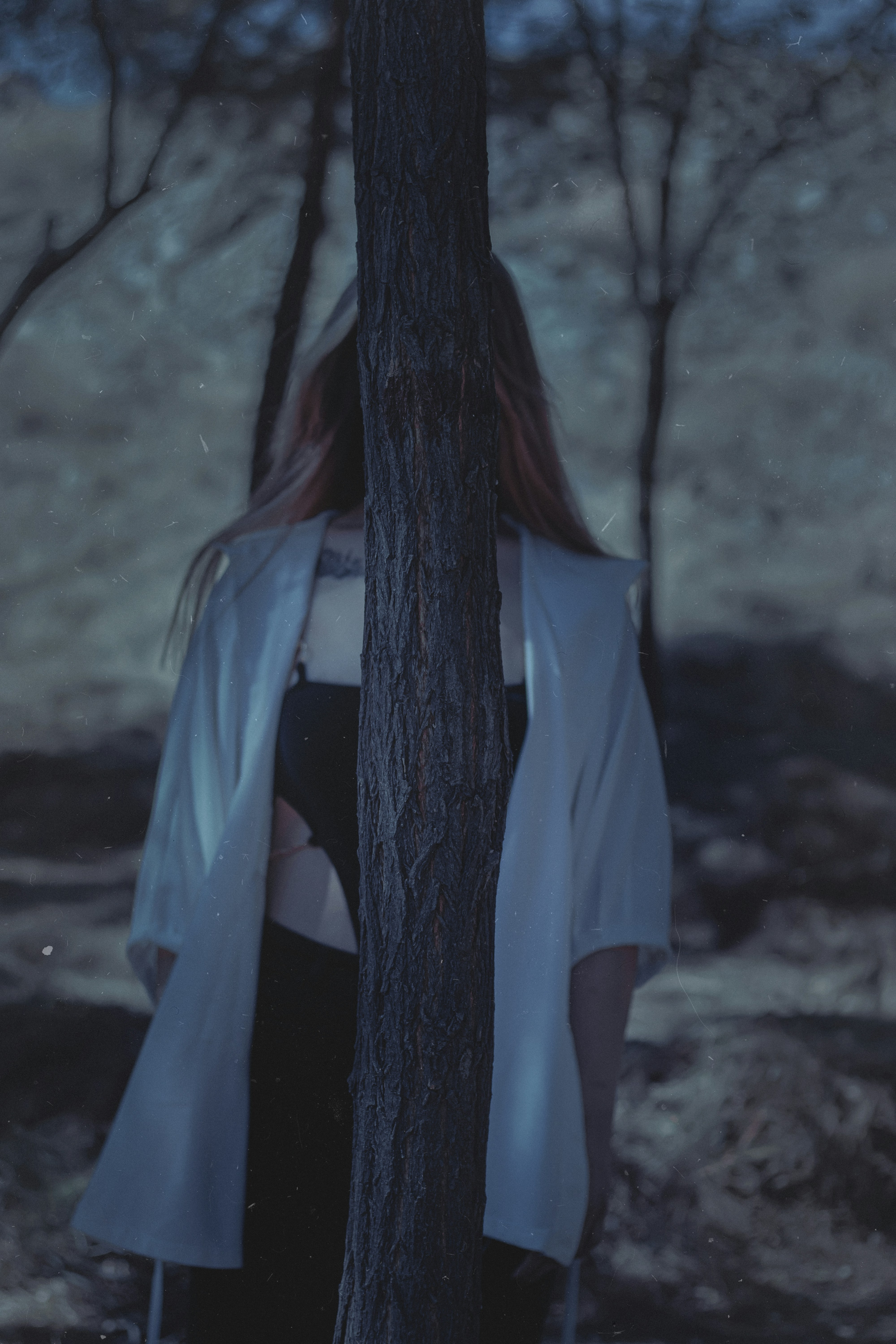 Photo by mahdibafande