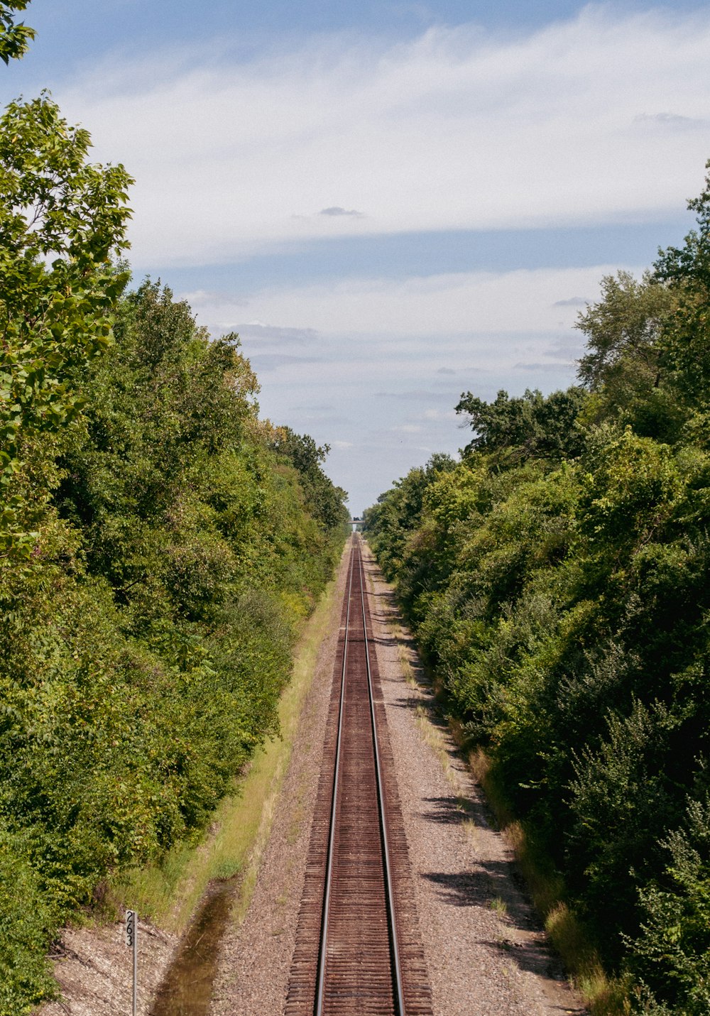 a train track running through a wooded area