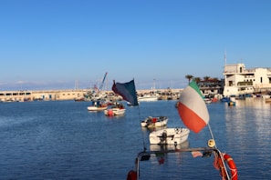 Several boats are docked in a serene marina under a clear blue sky. The scene includes a variety of small fishing and pleasure boats scattered across a vibrant and reflective water surface. Italian flags prominently adorn the stern of a nearby boat, adding a touch of national flair to the setting. The backdrop features a solid harbor wall and a row of palm trees with a few modern buildings, exuding a relaxed coastal atmosphere.