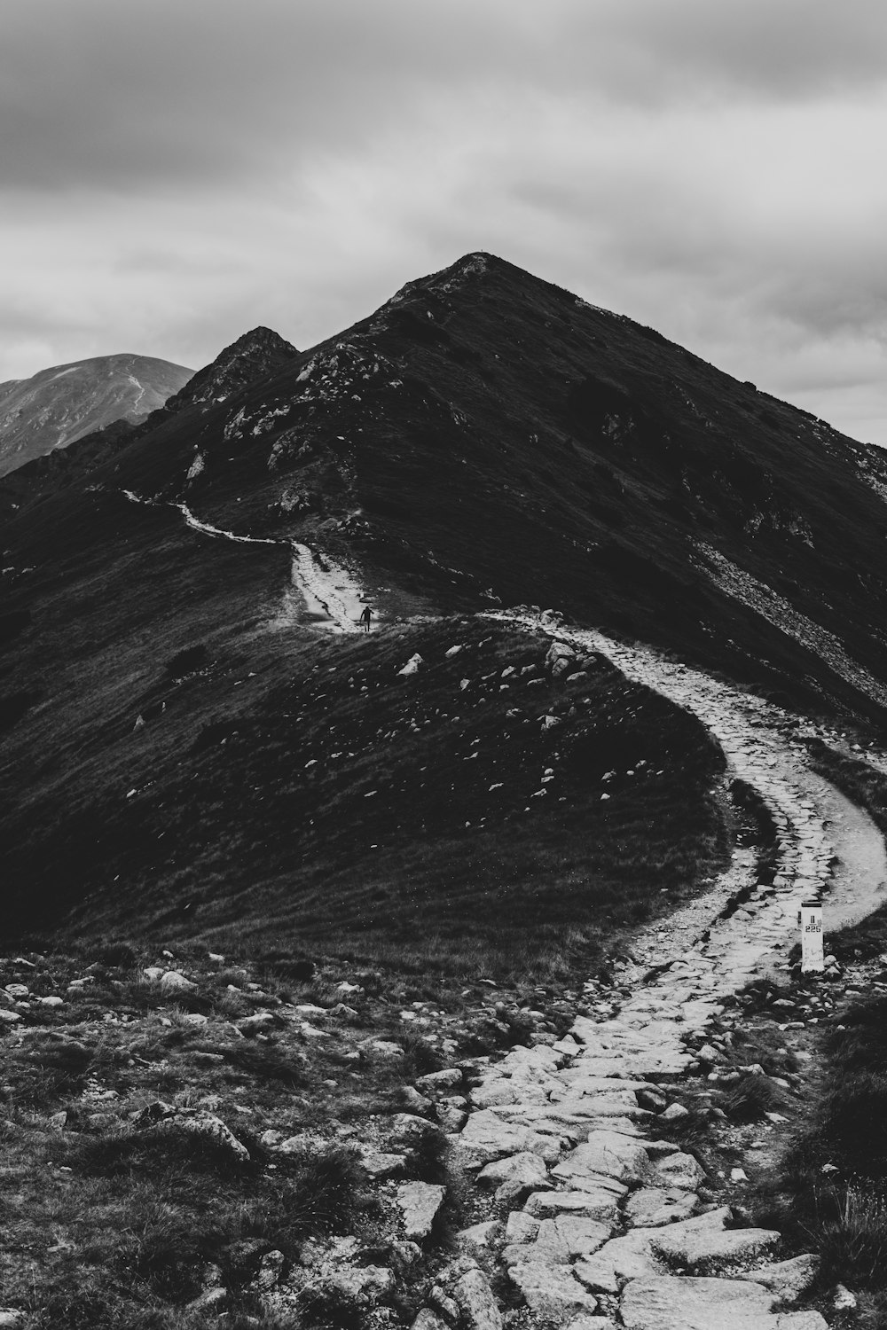 a black and white photo of a mountain trail