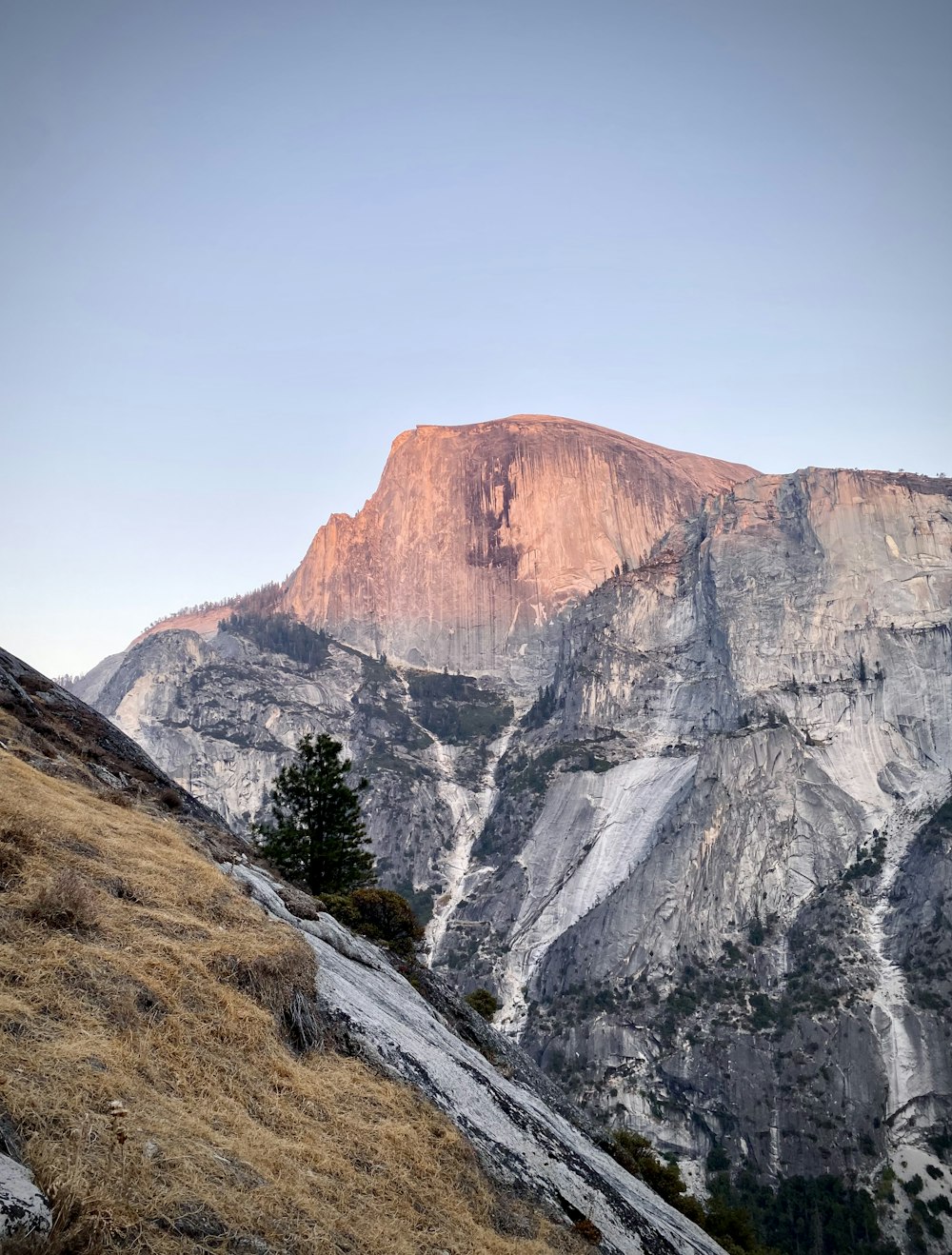 a view of a mountain with a tree in the foreground