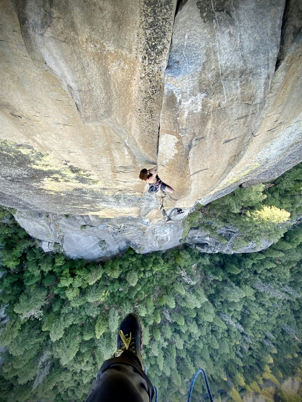 a man standing on top of a cliff next to a forest