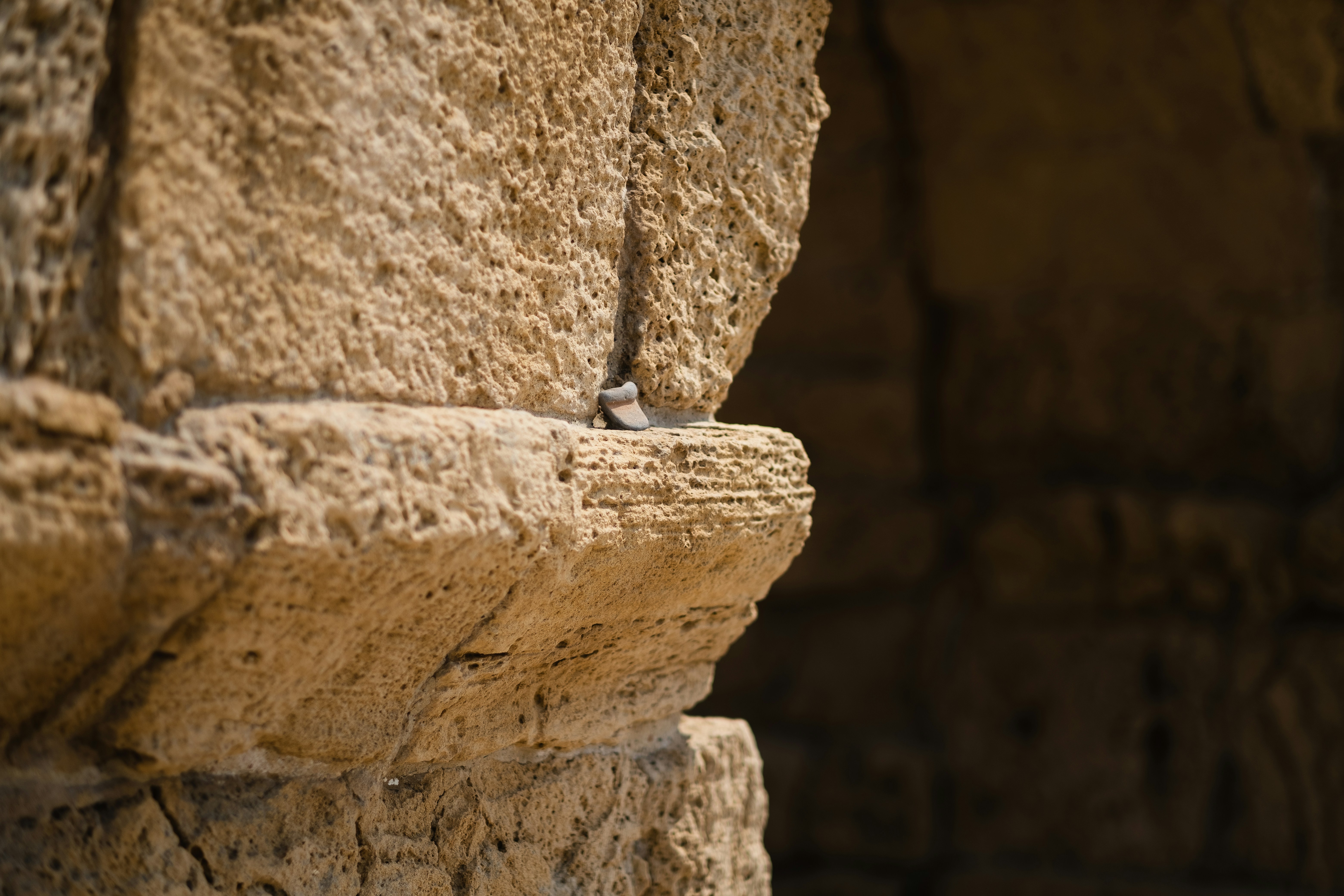 Photo by levimeirclancy