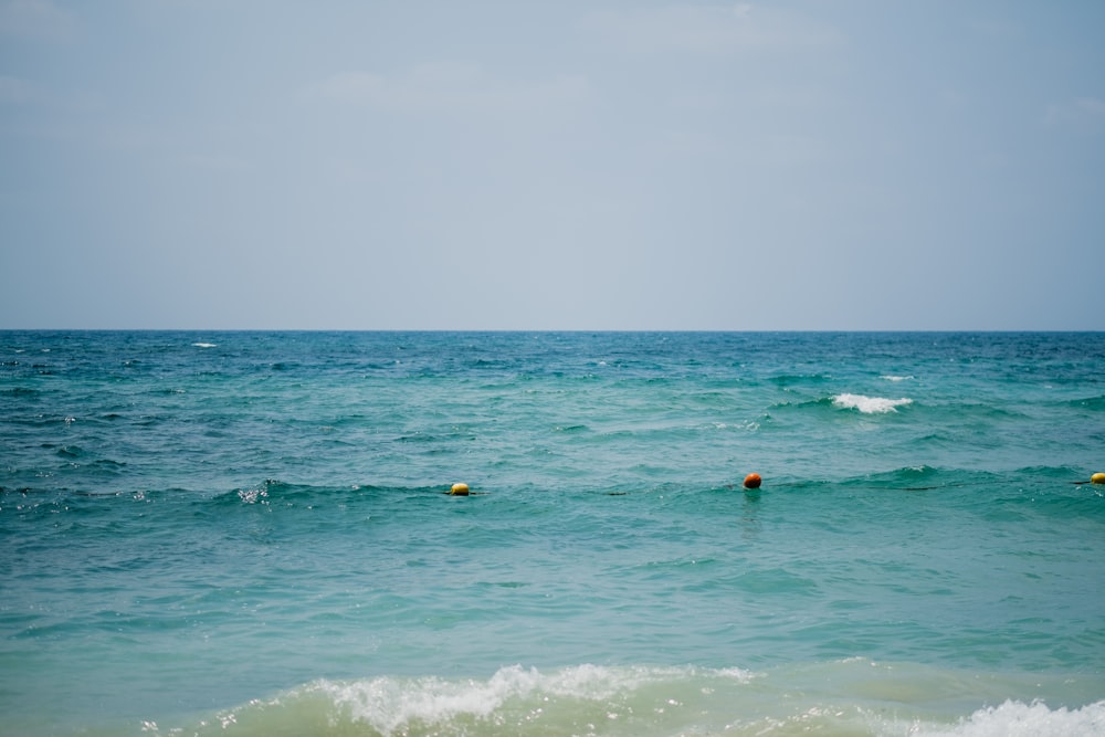 Eine Gruppe von Menschen, die im Meer schwimmen