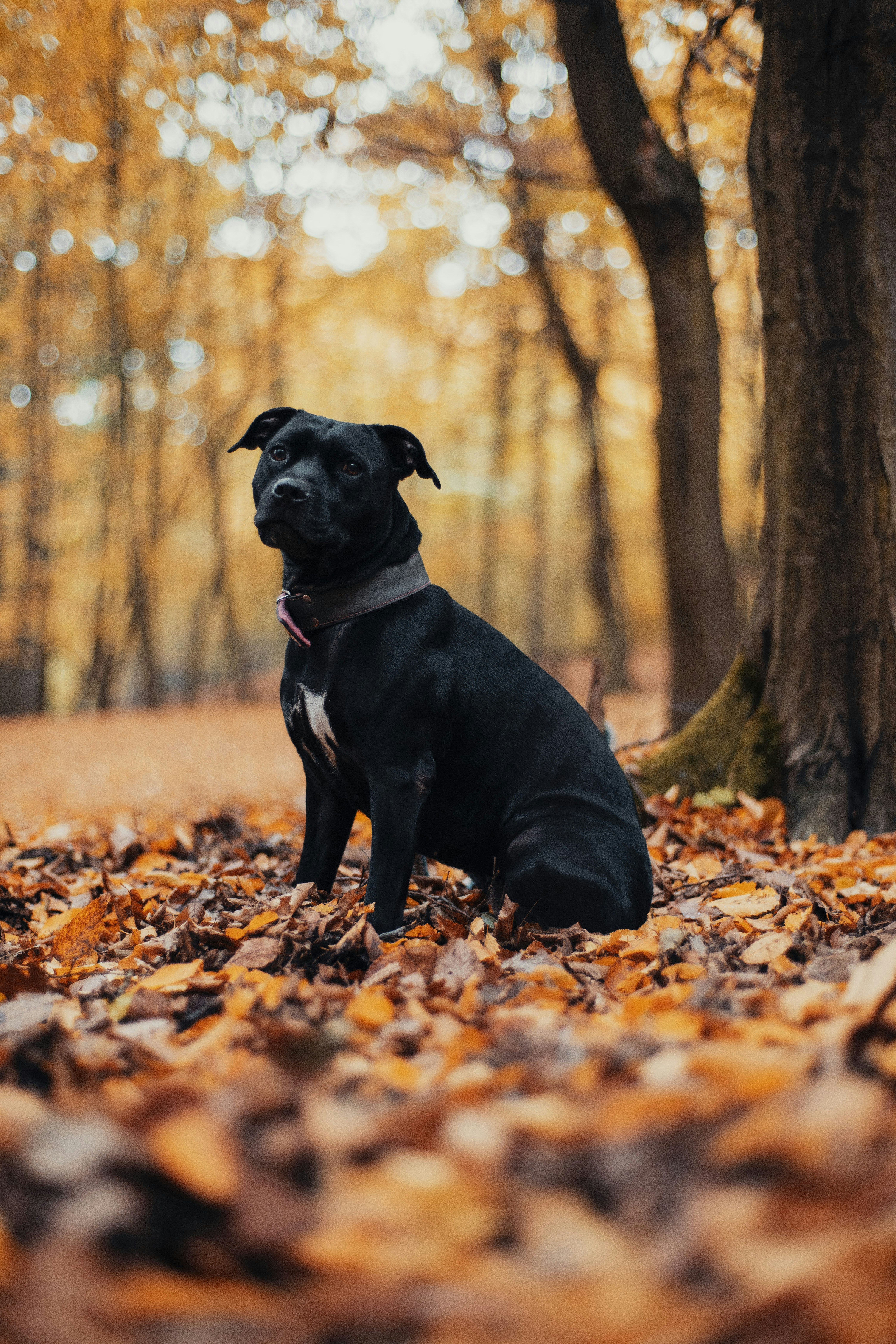 Photo by victor_vector