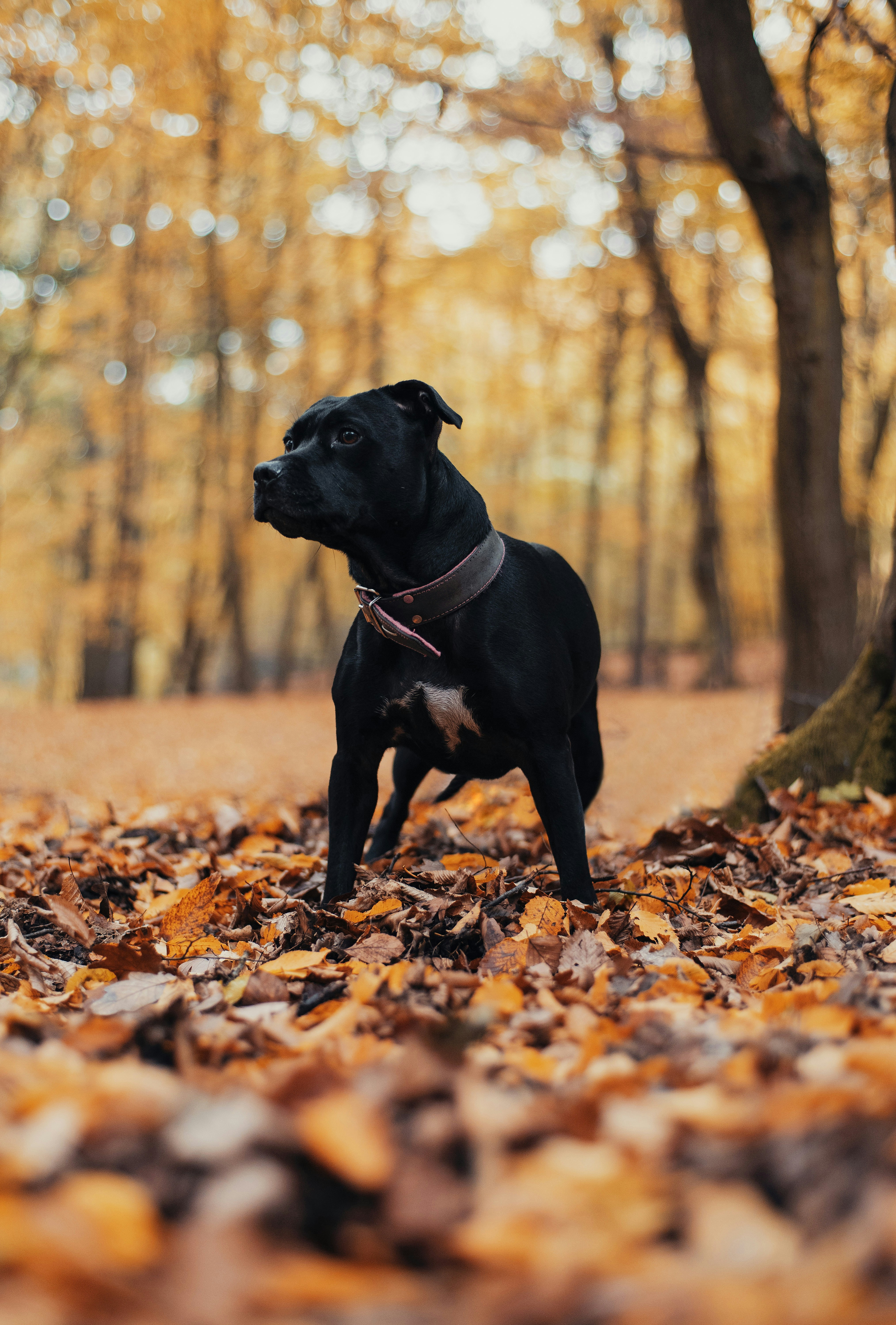 Photo by victor_vector