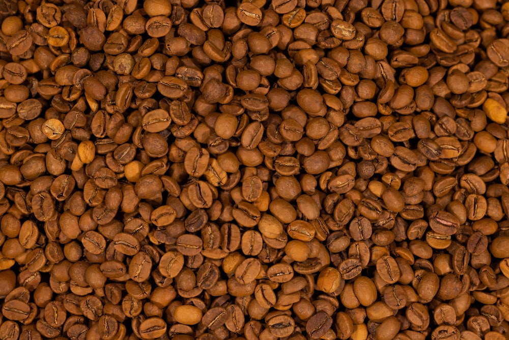 a pile of roasted coffee beans